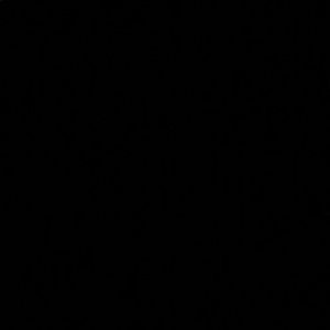 Meet your Posher, Alexia